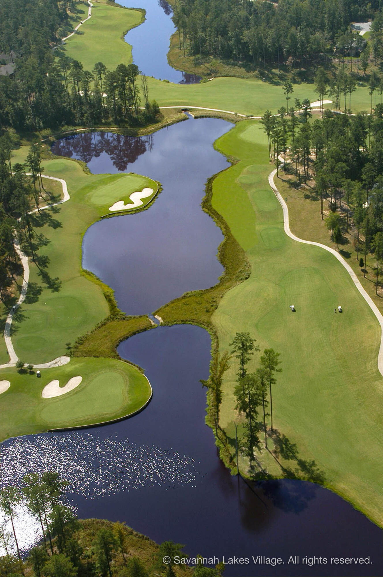 Lot 6 Katie Lane McCormick, SC 29835 - Photo 8 of 20 savannah-lakes-real-esate-02