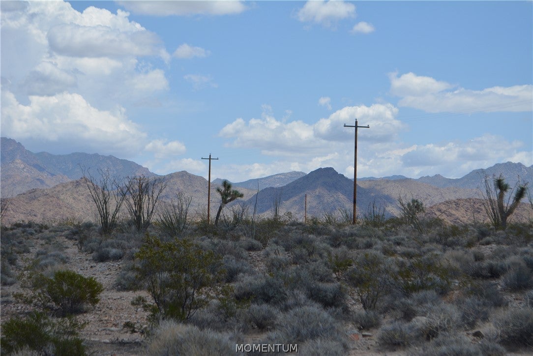 208-24-134 South Cameron Road Yucca, AZ 86438 - Photo 27 of 86 Gallery Image 27