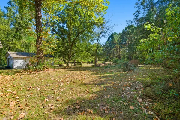a view of yard with green space