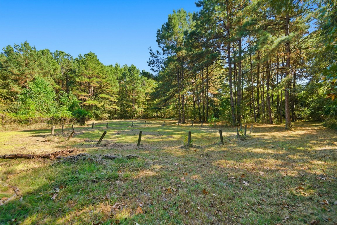 1200 Foster Drive Conroe, TX 77301 - Photo 15 of 18 a view of a park