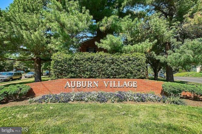 111 East Glebe Road, Unit D Alexandria, VA 22305 - Photo 1 of 14 a view of a park with trees and plants