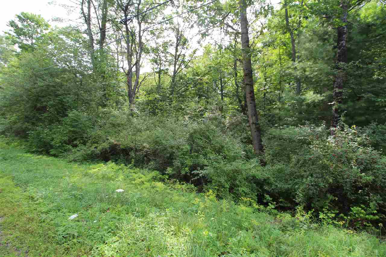 2010 Sangamon Road Pittsford, VT 05763 - Photo 3 of 9