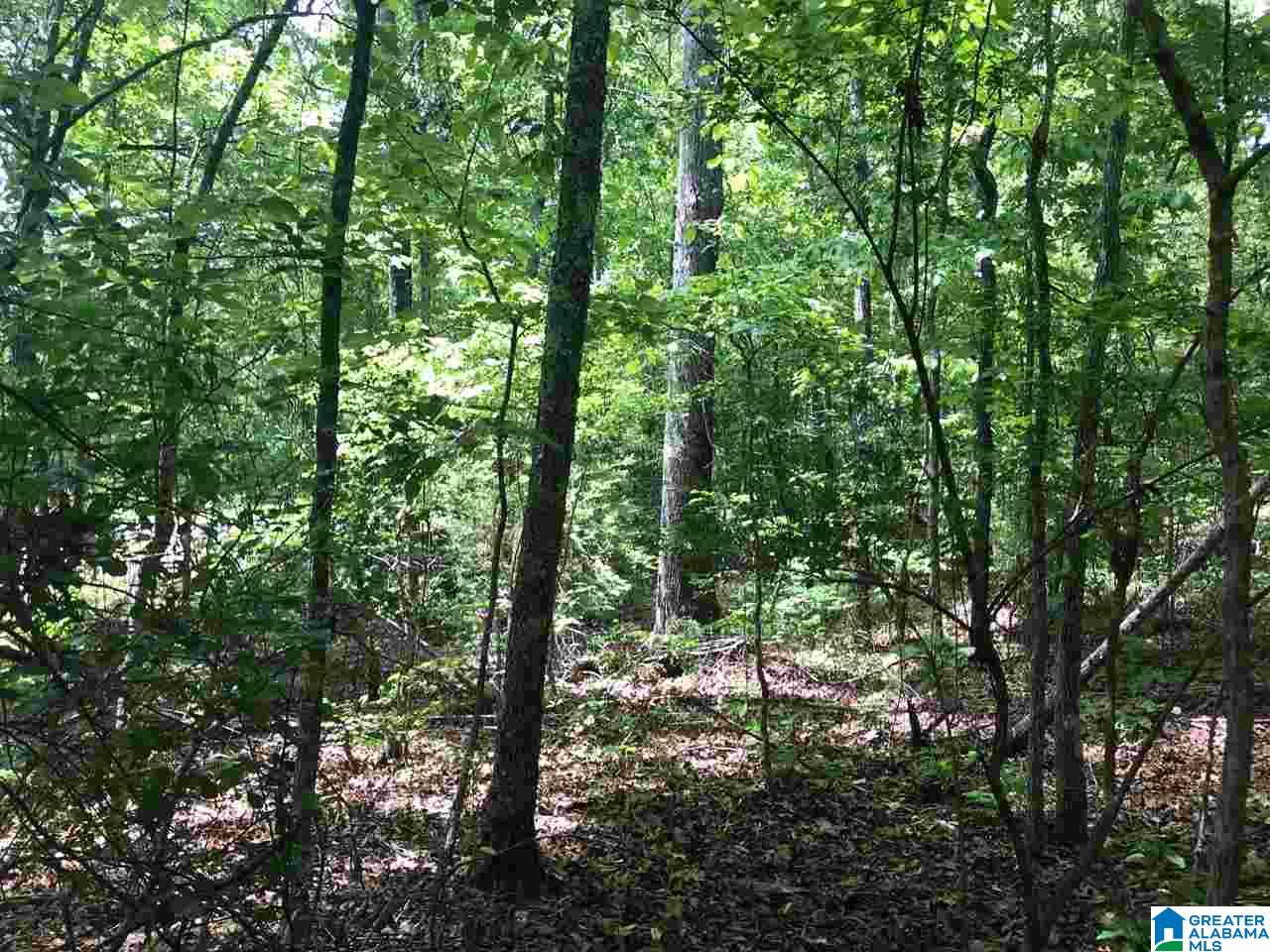 Firehouse Road, Unit 21 Goodwater, AL 35072 - Photo 19 of 21