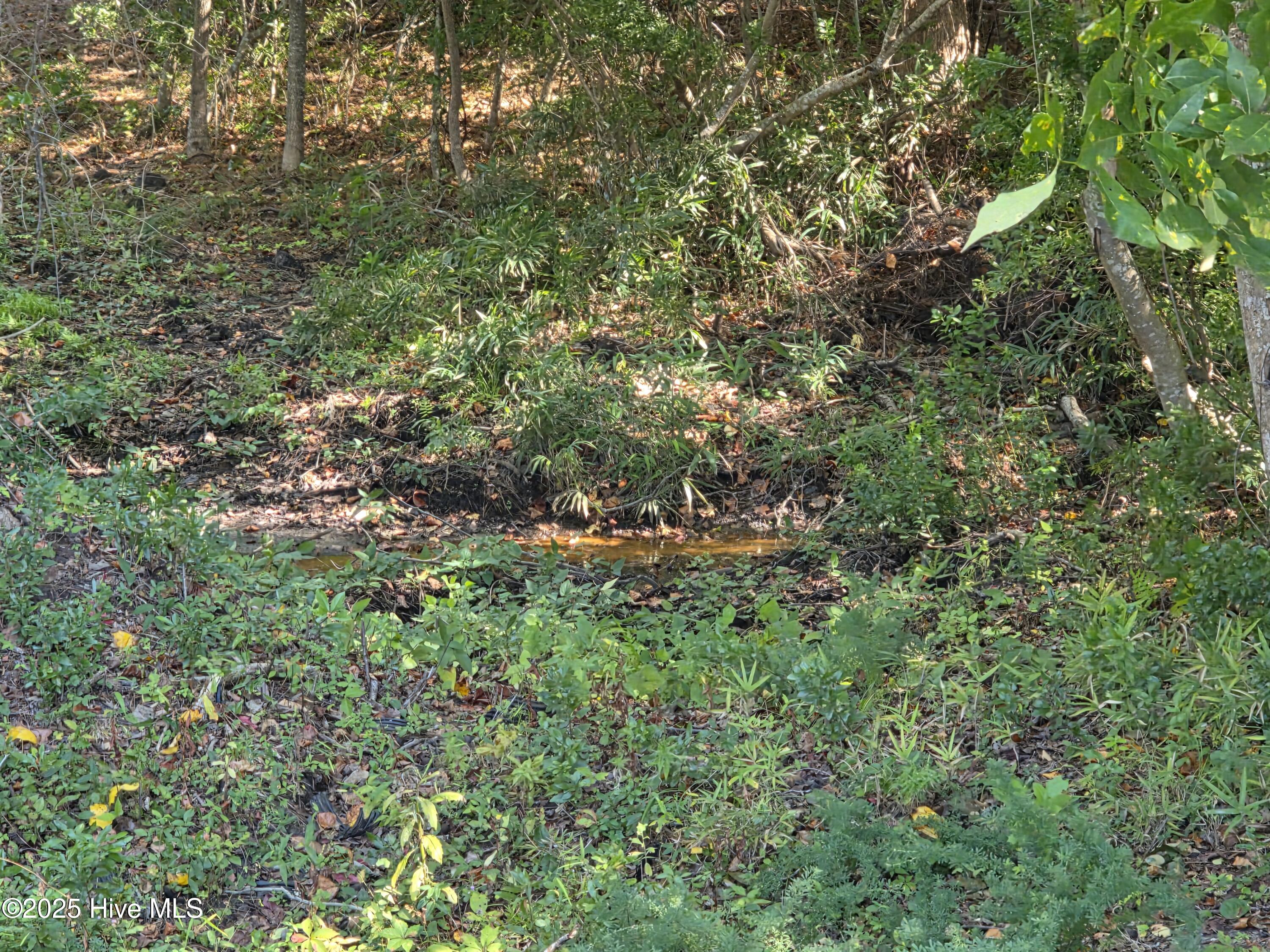 201 Marshside Landing Holly Ridge, NC 28445 - Photo 33 of 55 Small Tributary at back of lot that runs