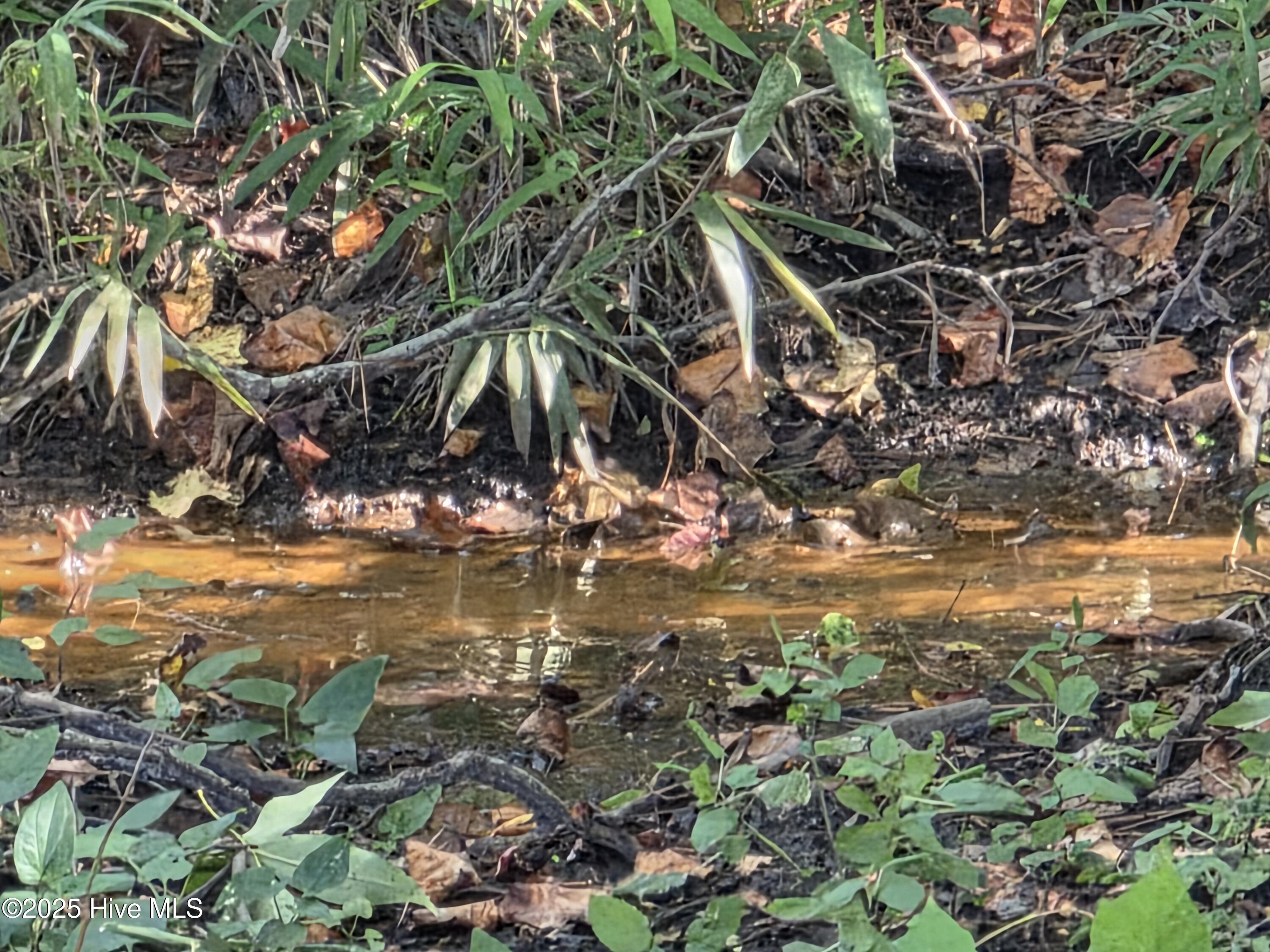 201 Marshside Landing Holly Ridge, NC 28445 - Photo 34 of 55 Small Tributary at back of lot that runs