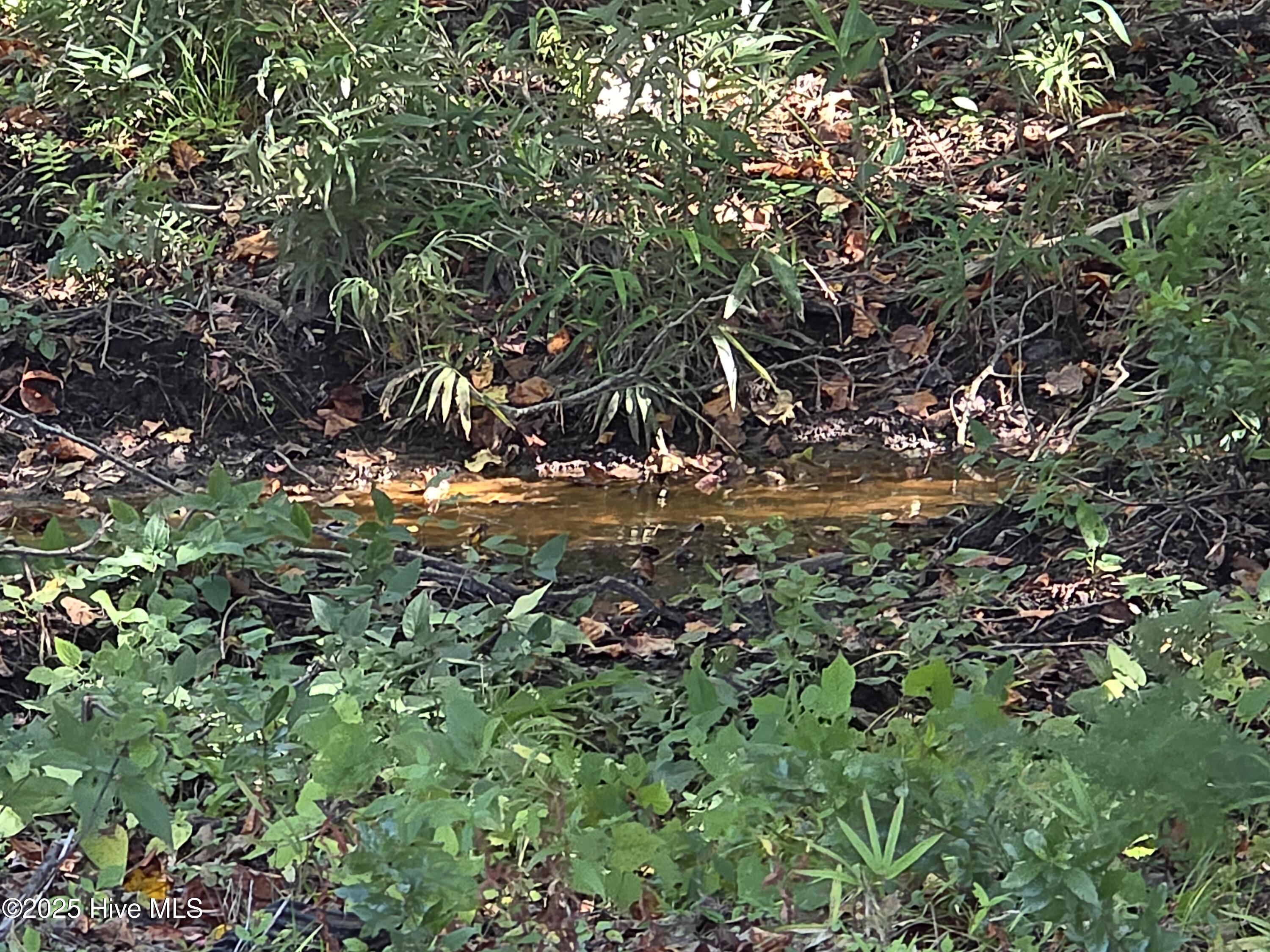 201 Marshside Landing Holly Ridge, NC 28445 - Photo 35 of 55 Small Tributary at back of lot that runs