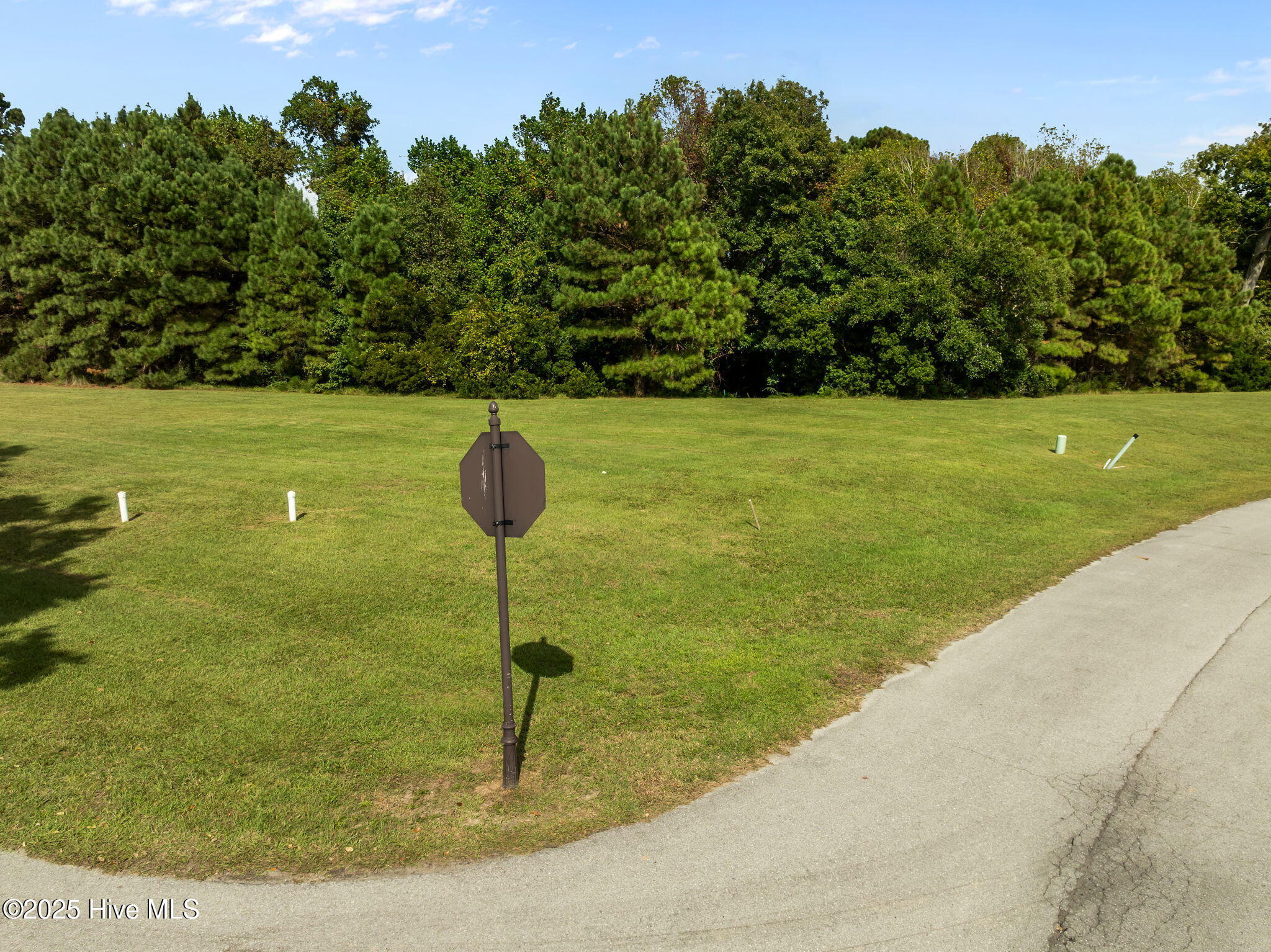 201 Marshside Landing Holly Ridge, NC 28445 - Photo 10 of 55 4-web-or-mls-01 - Copy