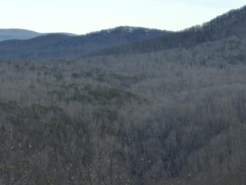 280 Andes Ridge Jasper, GA 30143 - Photo 39 of 45