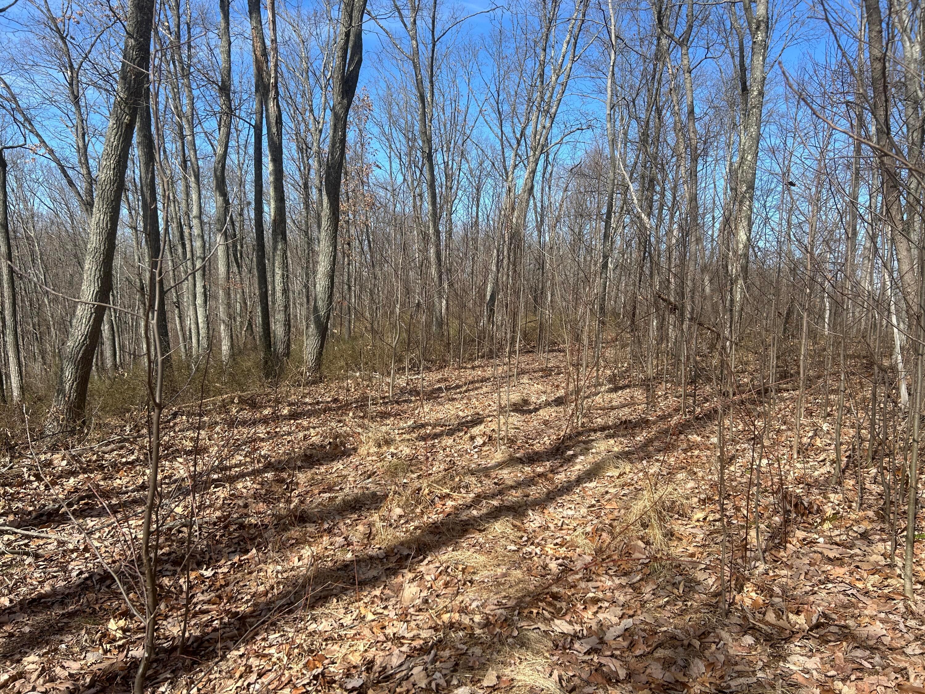 1020 Hunting Run Road, Unit C70 Lucasville, OH 45648 - Photo 21 of 48 p 21
