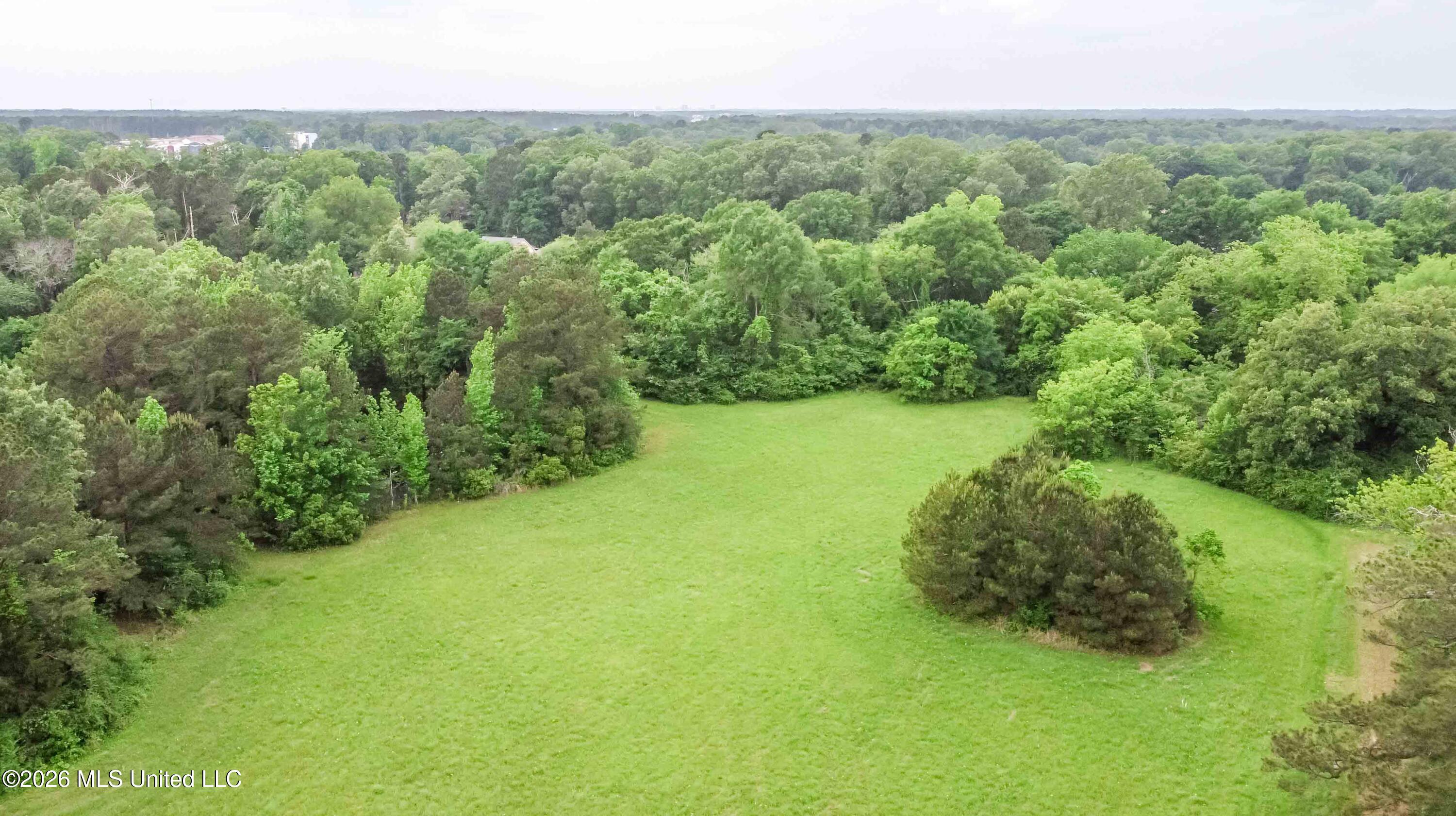 1668 Old Fannin Road Flowood, MS 39232 - Photo 11 of 13 watsonphotography260428122550