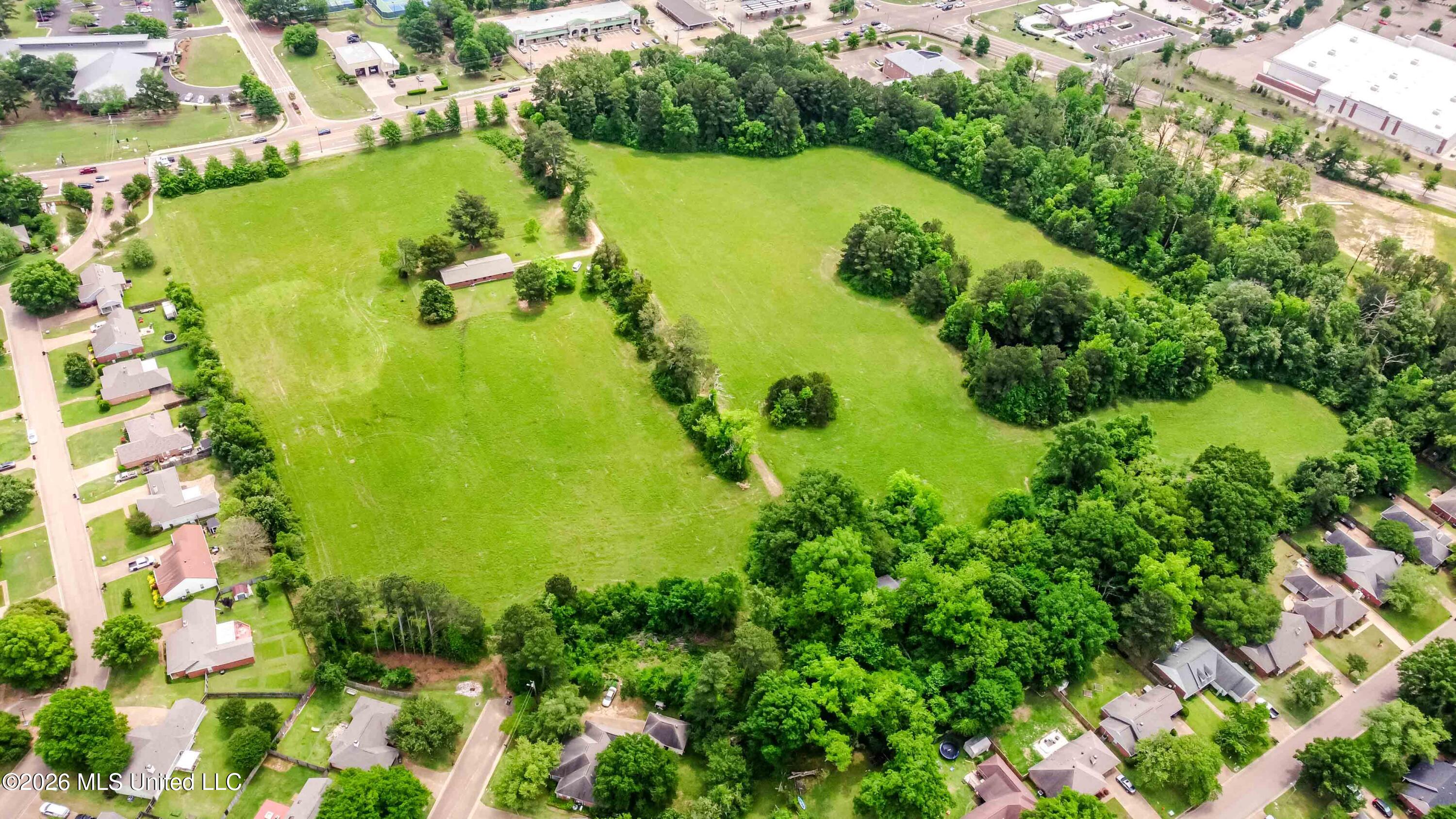 1668 Old Fannin Road Flowood, MS 39232 - Photo 3 of 13 watsonphotography260428121145