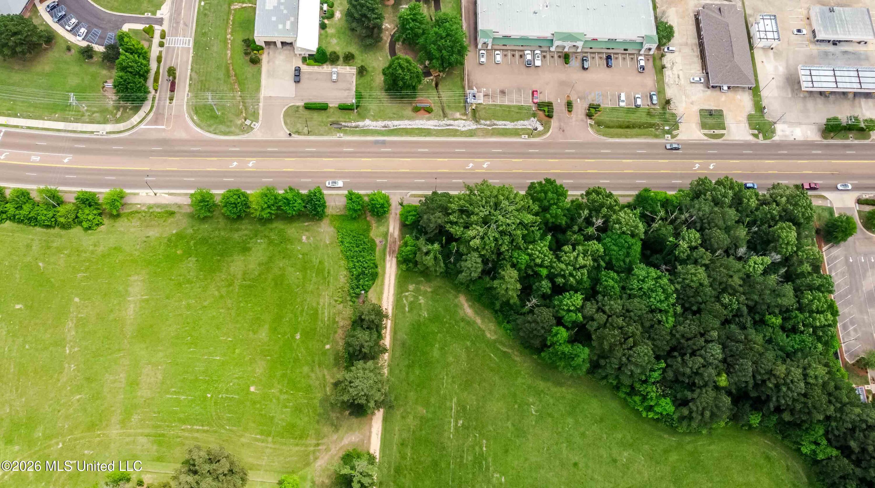 1668 Old Fannin Road Flowood, MS 39232 - Photo 4 of 13 watsonphotography260428120818