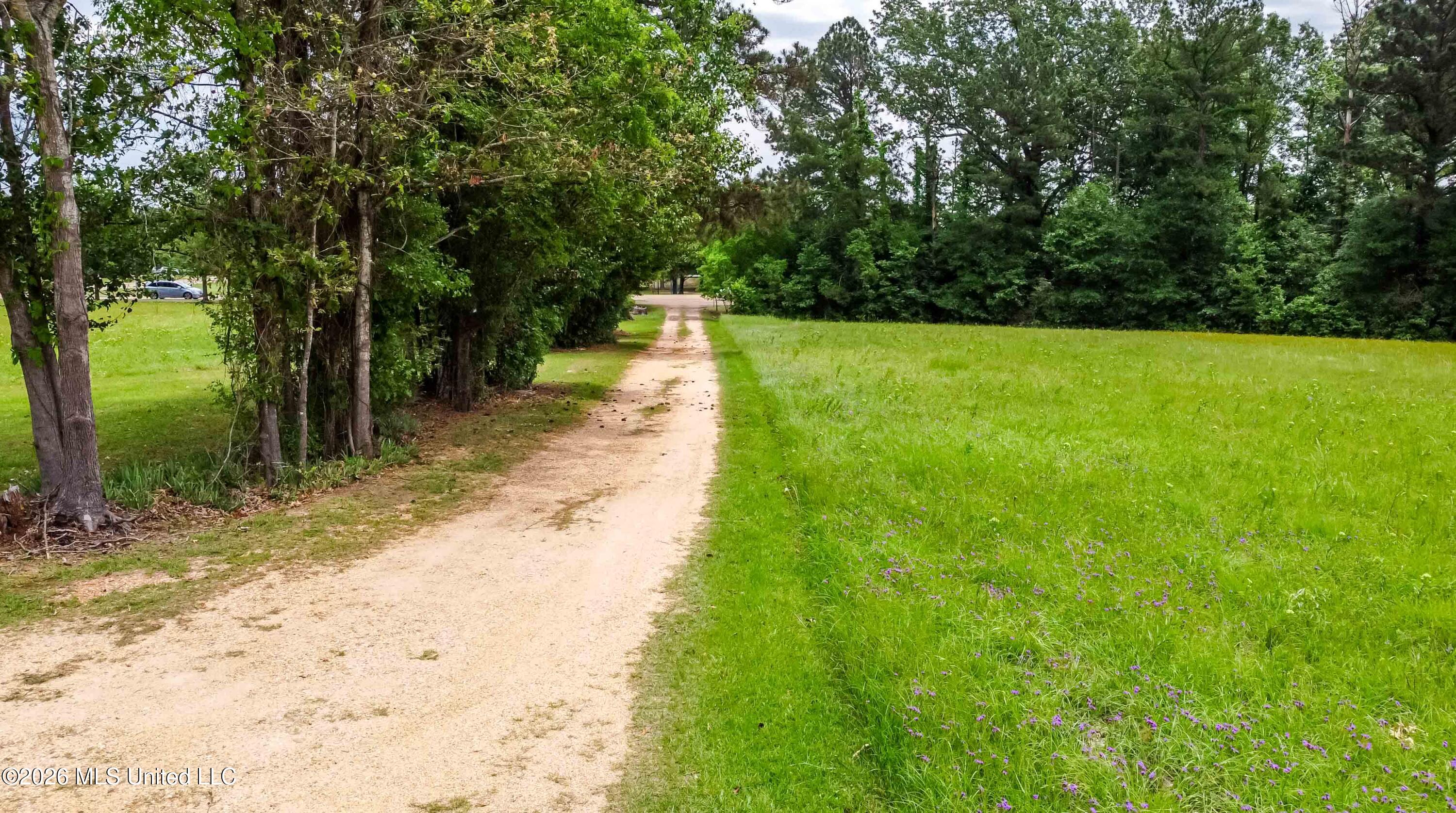 1668 Old Fannin Road Flowood, MS 39232 - Photo 6 of 13 watsonphotography260428121656