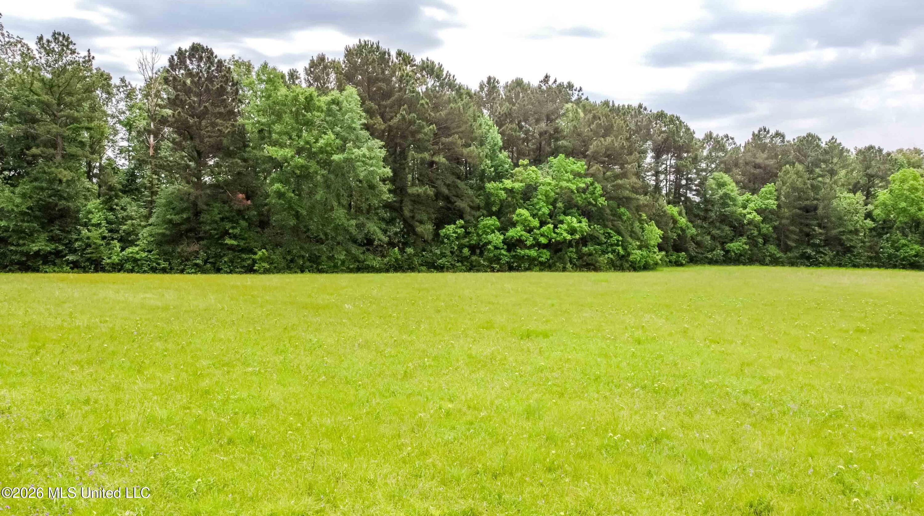 1668 Old Fannin Road Flowood, MS 39232 - Photo 7 of 13 watsonphotography260428121707