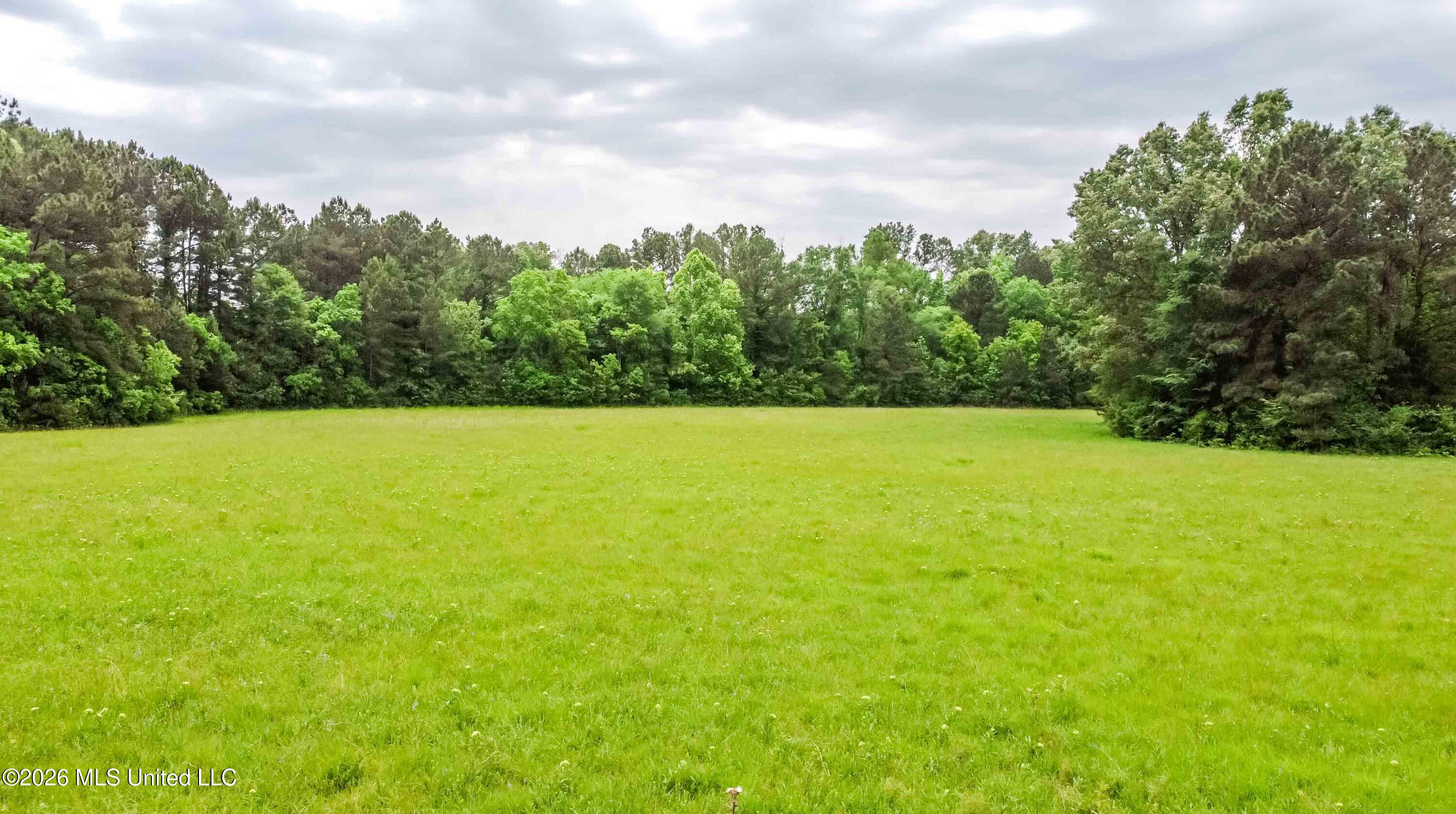 1668 Old Fannin Road Flowood, MS 39232 - Photo 8 of 13 watsonphotography260428121713