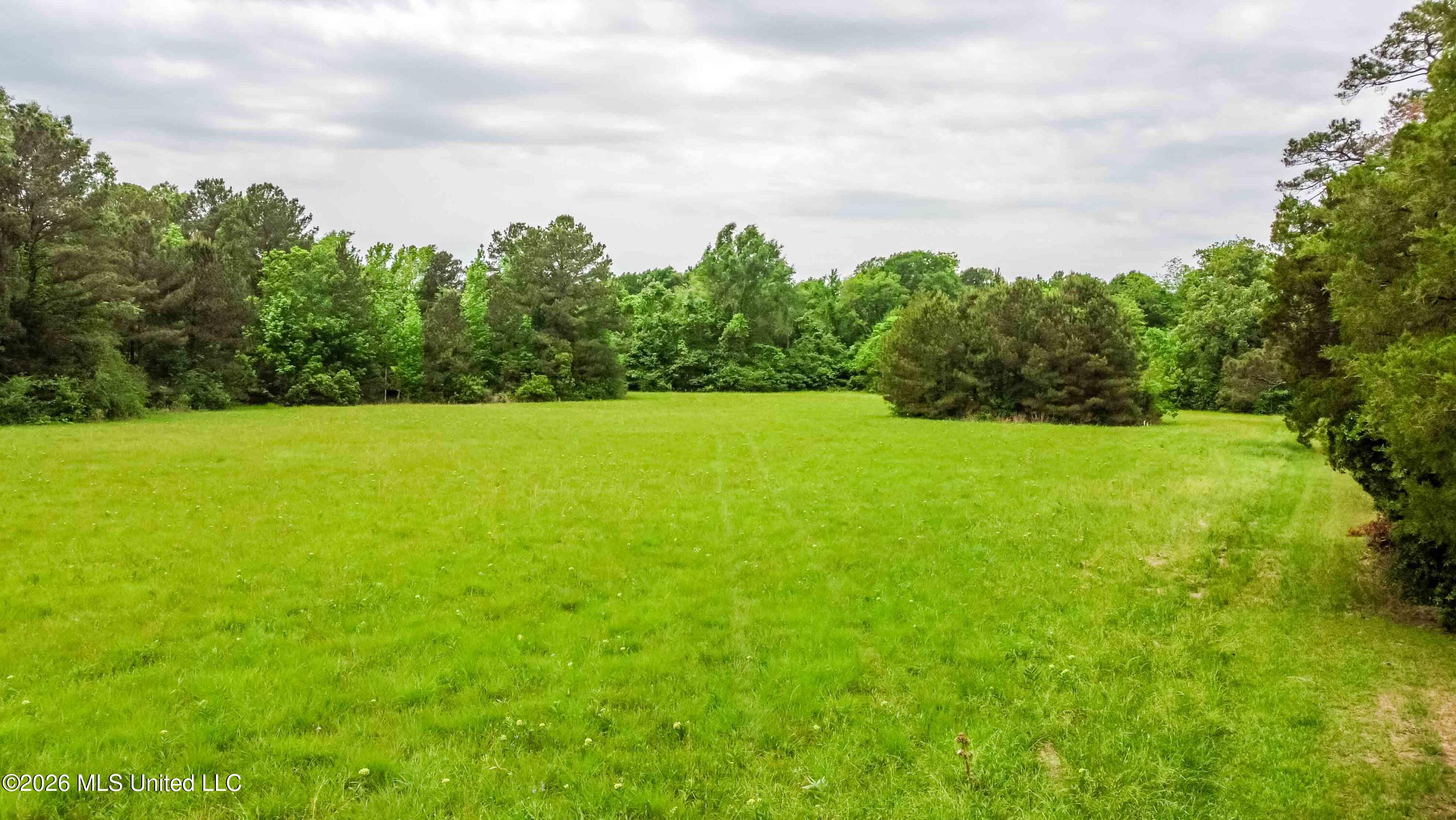 1668 Old Fannin Road Flowood, MS 39232 - Photo 9 of 13 watsonphotography260428121722