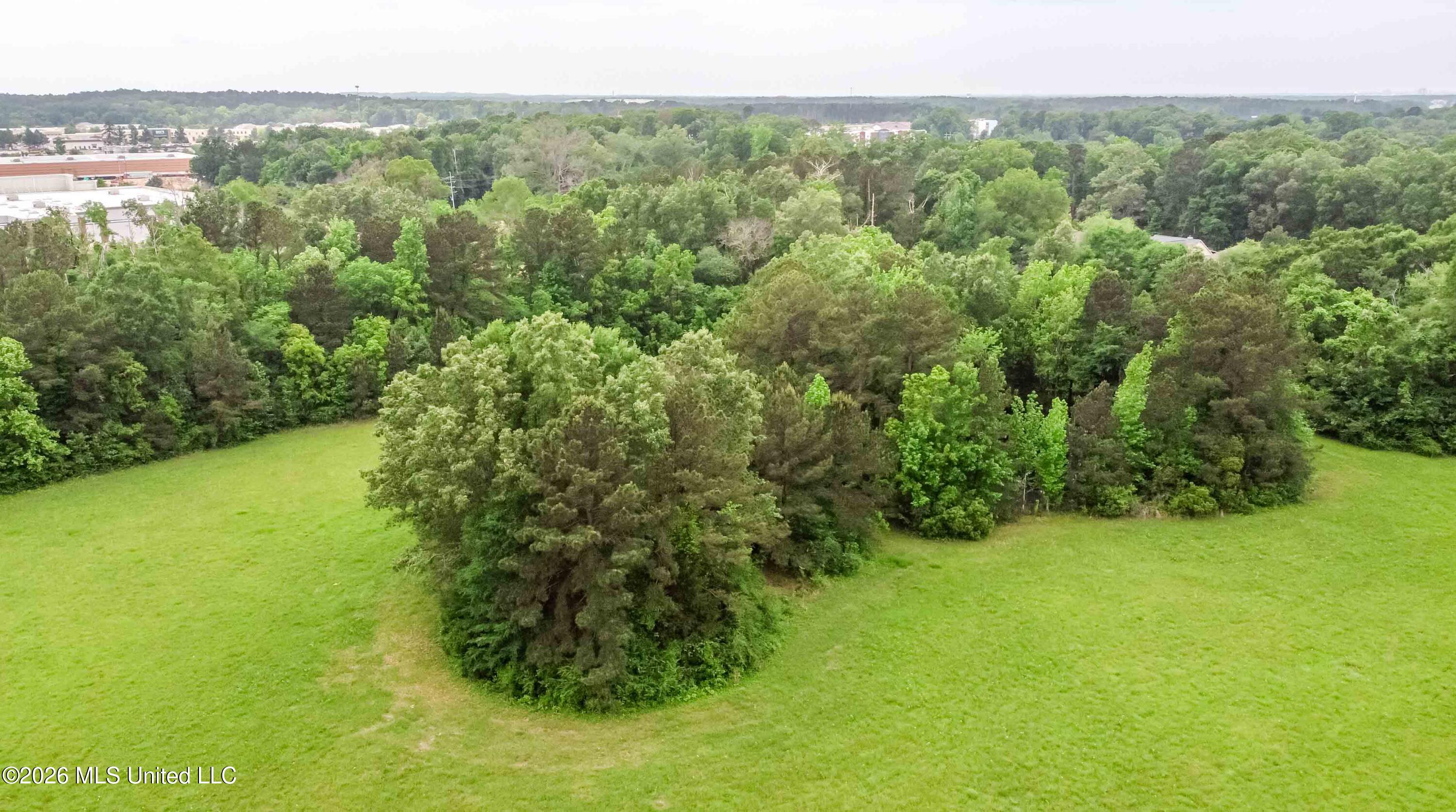 1668 Old Fannin Road Flowood, MS 39232 - Photo 10 of 13 watsonphotography260428122545