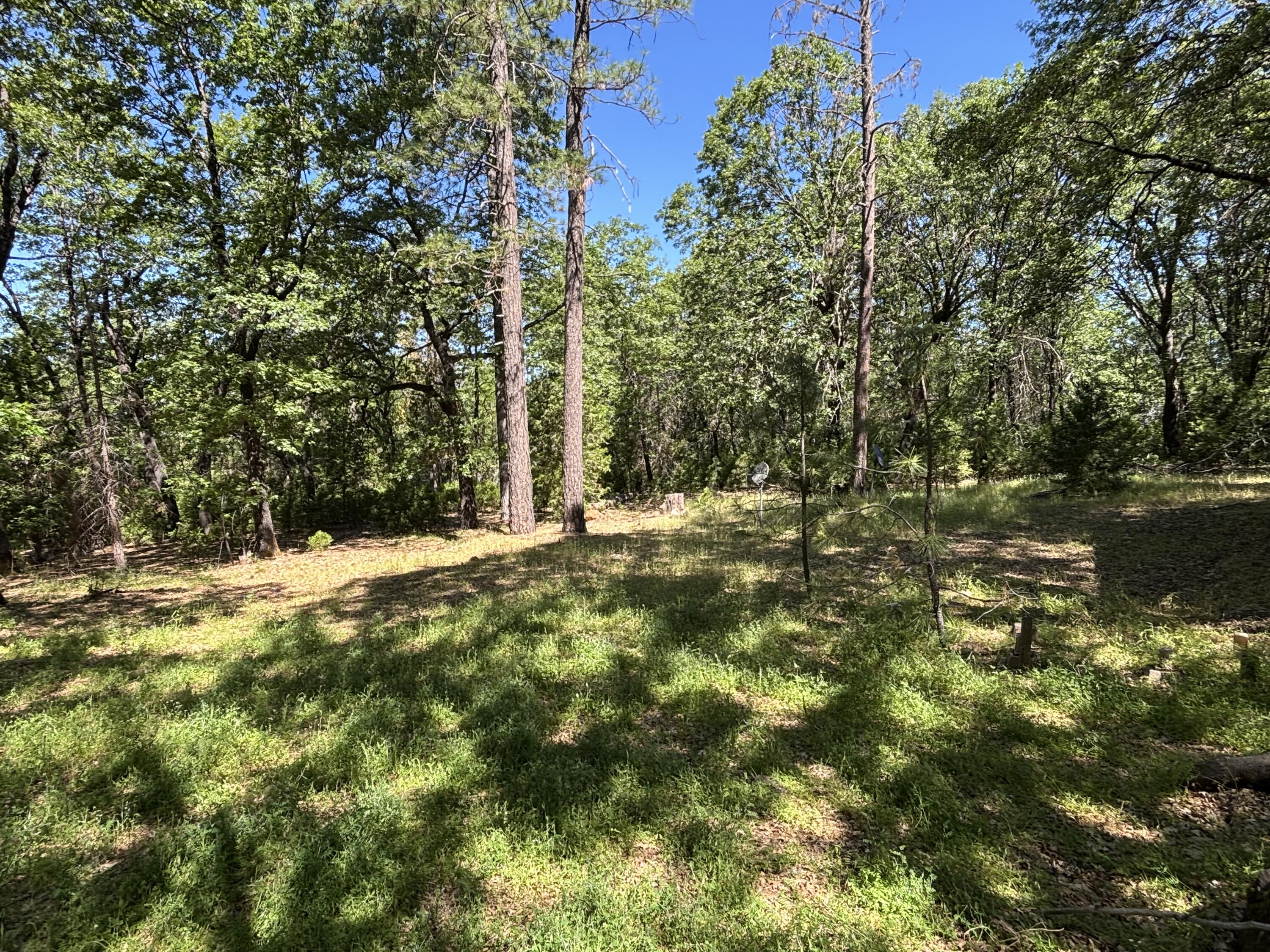 10473 Blue Mountain Ranch Road Whitmore, CA 96096 - Photo 14 of 20 IMG_5081