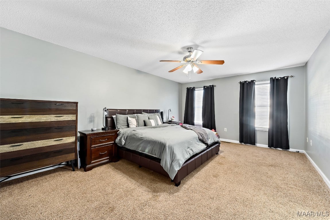 123 South Spring View Drive Enterprise, AL 36330 - Photo 14 of 22 Owner Suite