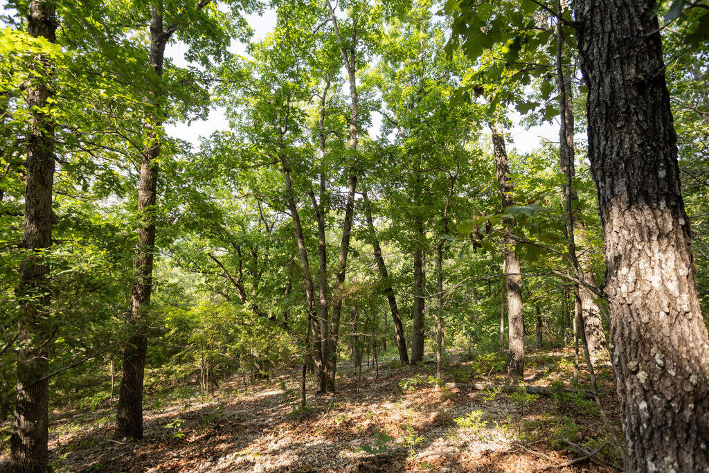 0 Misty Springs Road Galena, MO 65656 - Photo 20 of 52 Stone14(MLSRES)-21
