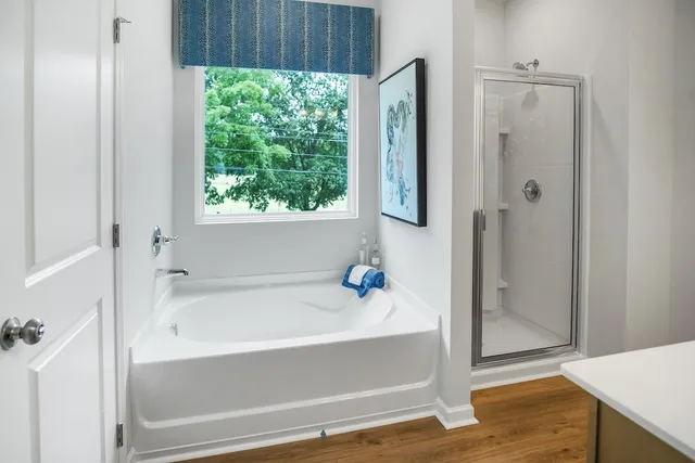 a bathroom with a bathtub and a shower