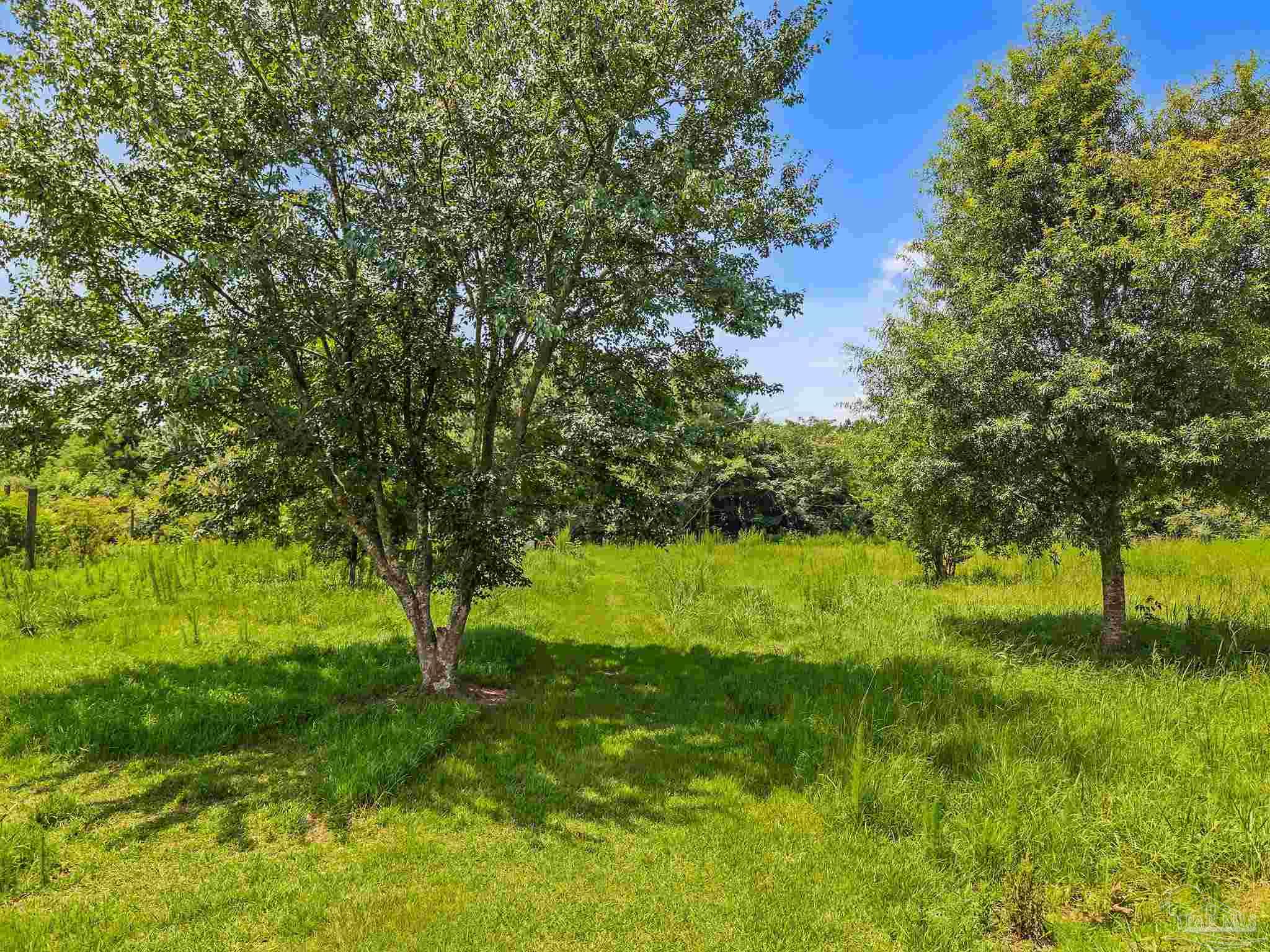 4595 Poarch Road Atmore, AL 36502 - Photo 54 of 72