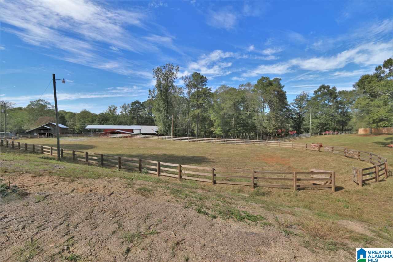 8460 Wolf Creek Road South Pell City, AL 35128 - Photo 25 of 49