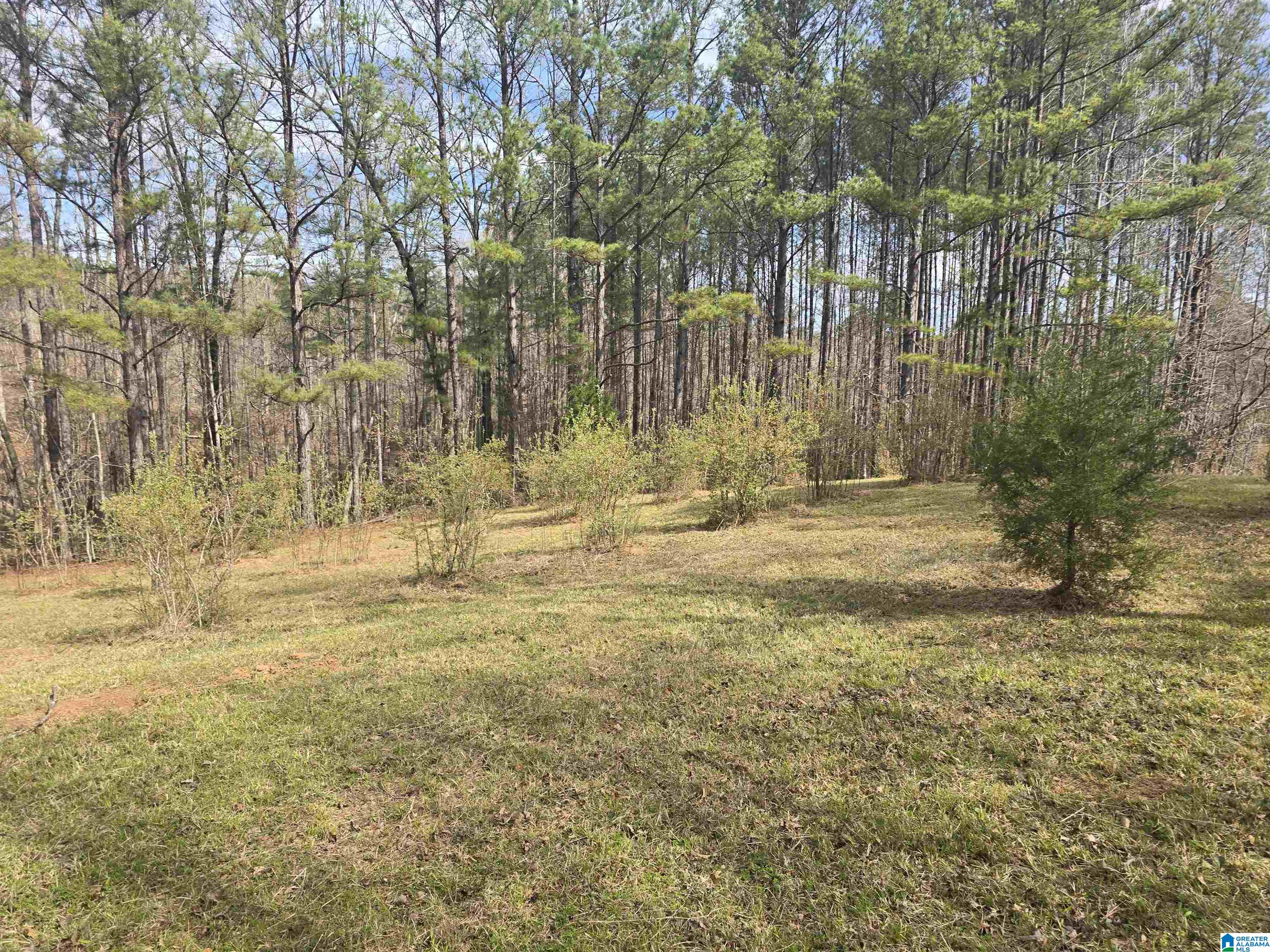 354 Springwell Road Rockford, AL 35136 - Photo 27 of 68