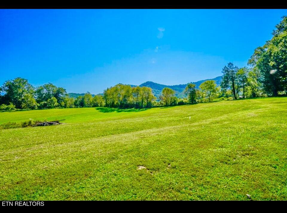 237 Myers Road Townsend, TN 37882 - Photo 5 of 7 Image 05