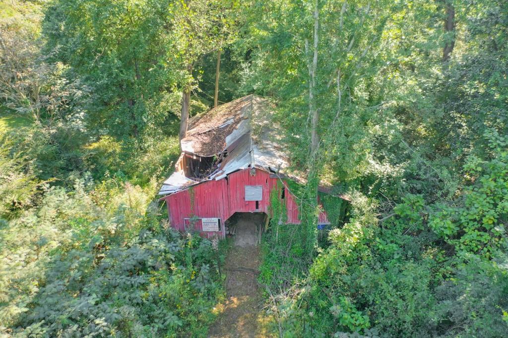 819 Northern Avenue Clarkston, GA 30021 - Photo 18 of 21 a view of a yard in a forest