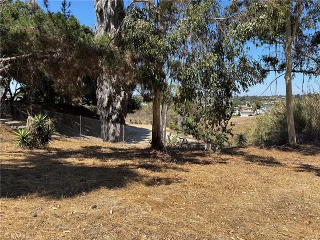 front view of a house with a trees