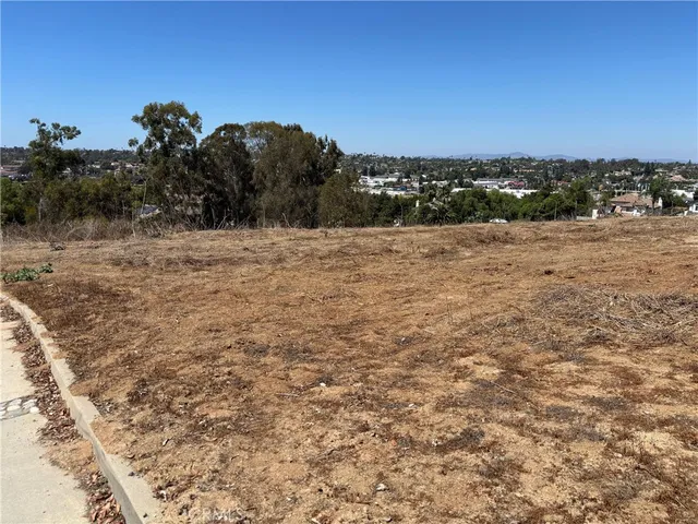 a view of yard with green space