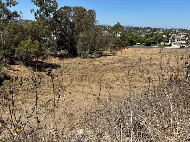 a view of a dry yard with trees