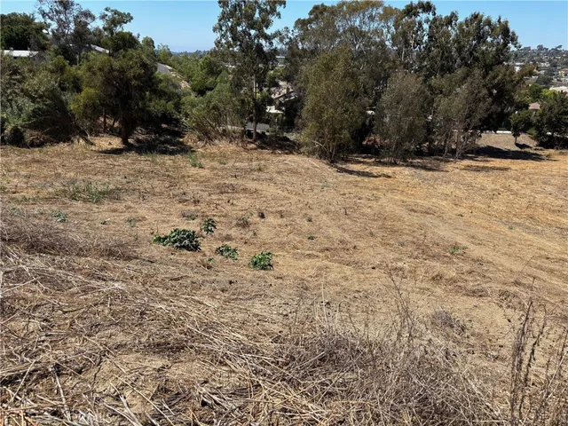 a view of a dry yard with trees in the background