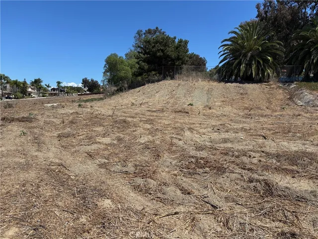 a view of a street with large trees