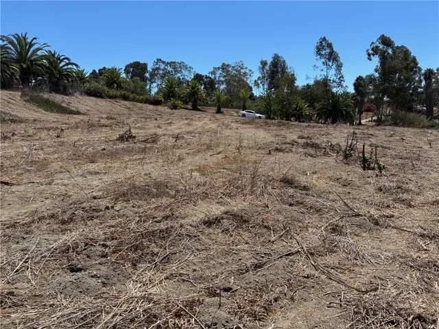 a view of a yard with plants and large trees