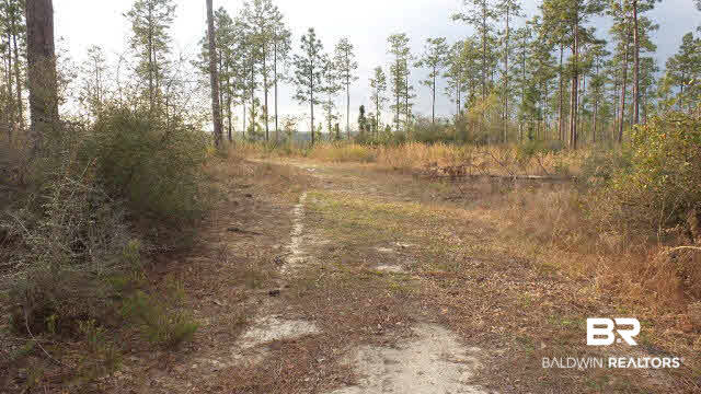 0 Lewis Road Titusville, FL 32796 - Photo 8 of 12 Gallery Image 8