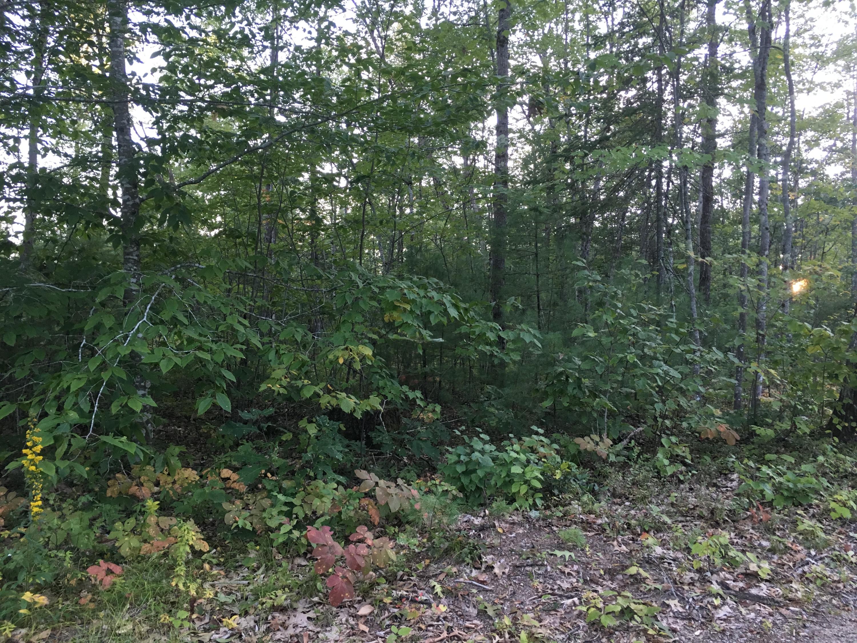 32-acres Sand Pond Road East Baldwin, ME 04024 - Photo 2 of 11 A5D2FF90-7ED6-4E85-944C-27E462D7FB8B