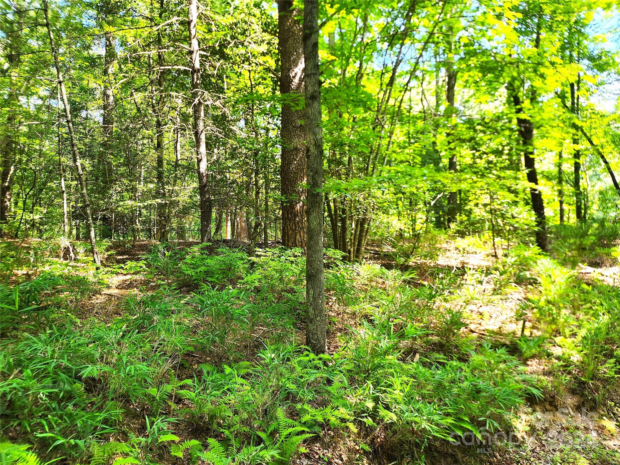 0 Blossom Road Brevard, NC 28712 - Photo 2 of 5 Gallery Image 2