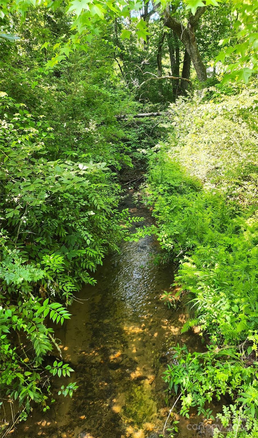 0 Blossom Road Brevard, NC 28712 - Photo 4 of 5 Gallery Image 4