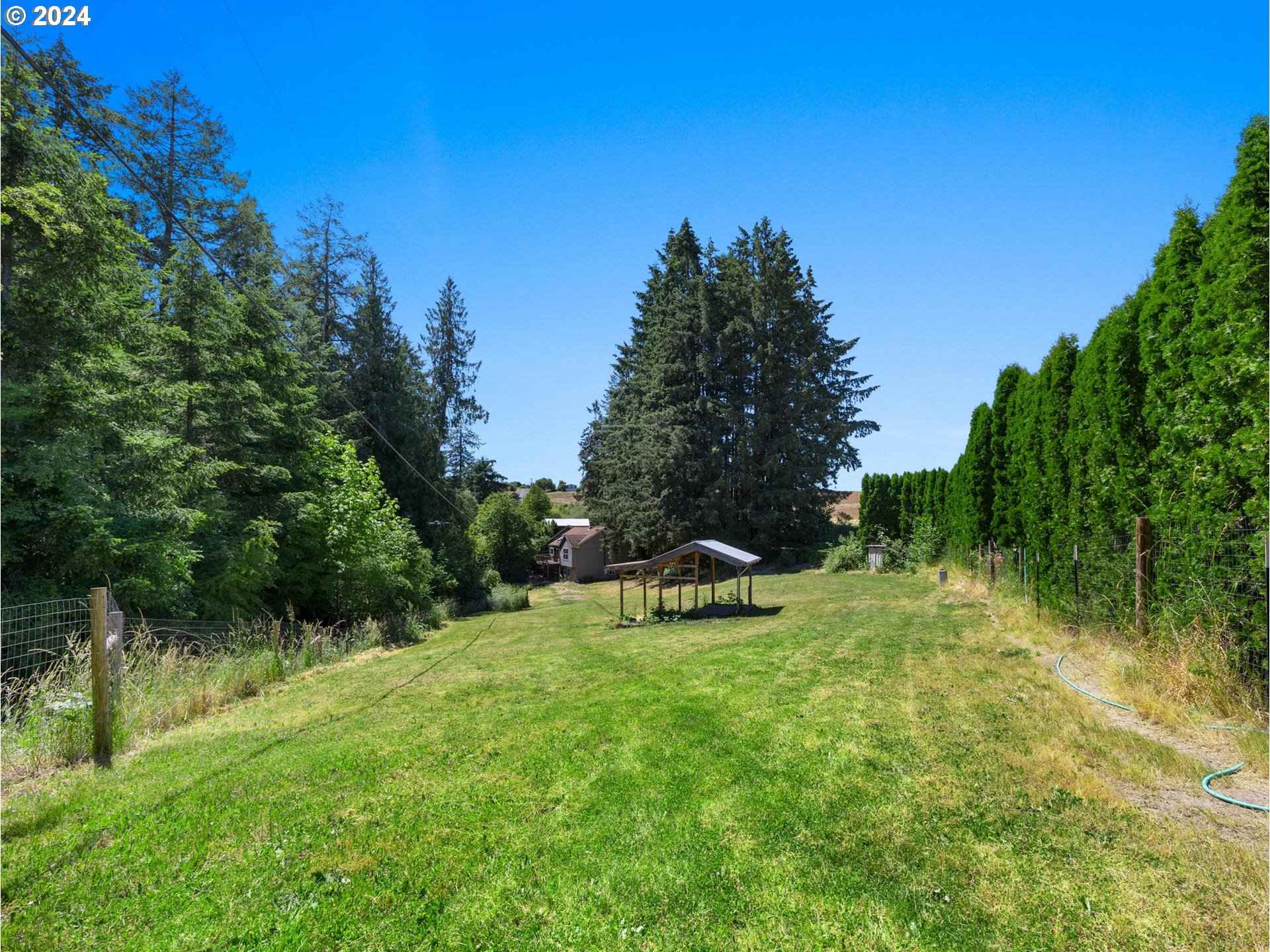 32980 Southwest Firdale Road Cornelius, OR 97113 - Photo 33 of 48 a view of backyard with green space