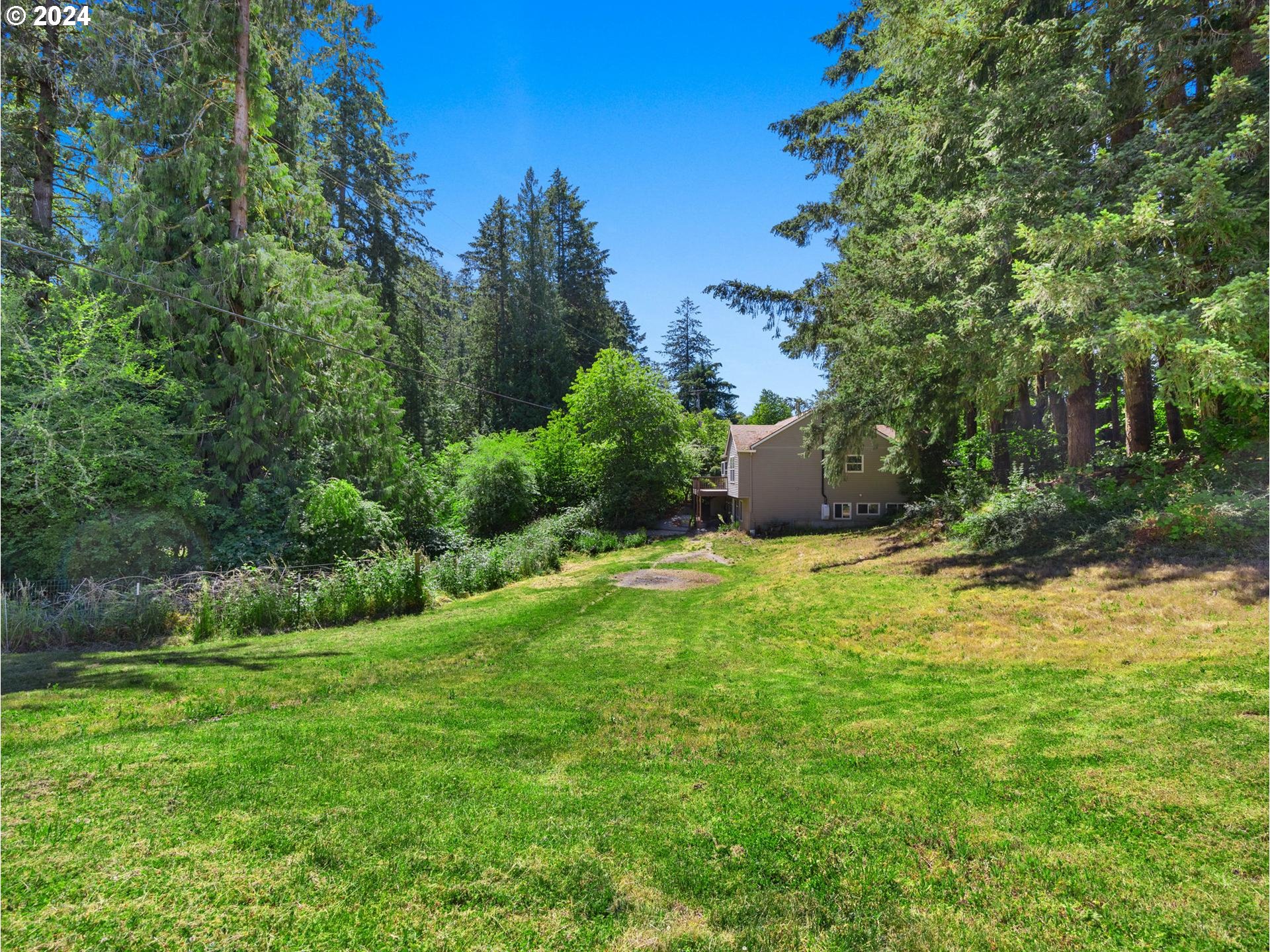 32980 Southwest Firdale Road Cornelius, OR 97113 - Photo 34 of 48