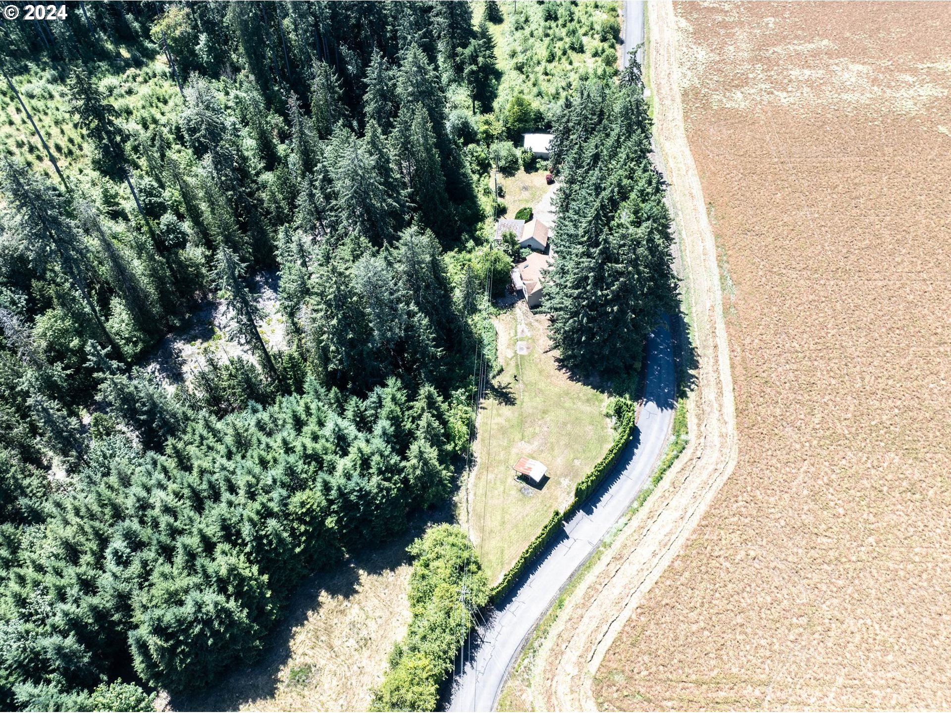 32980 Southwest Firdale Road Cornelius, OR 97113 - Photo 41 of 48 a view of a yard with plants