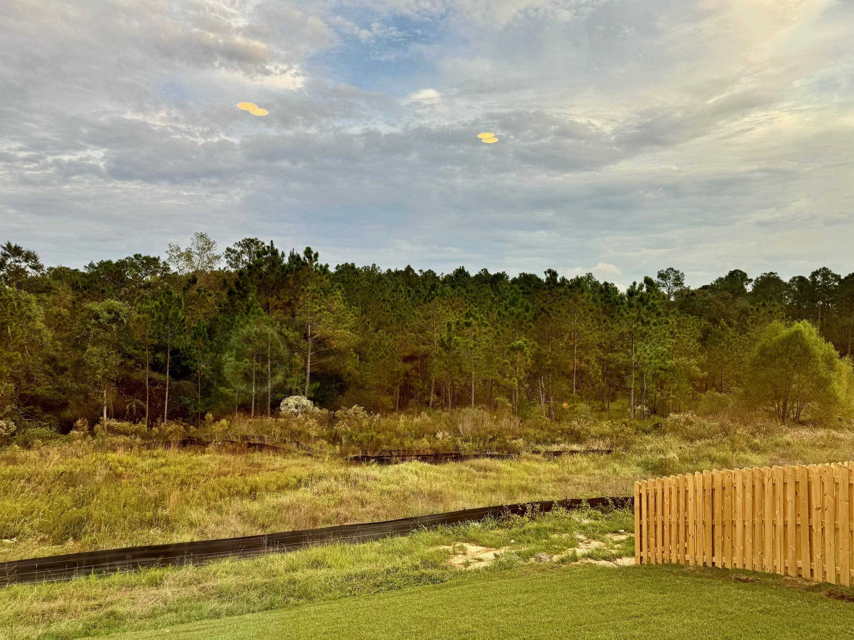 12884 Grand Rpds Road Fairhope, AL 36532 - Photo 28 of 32 Yard
