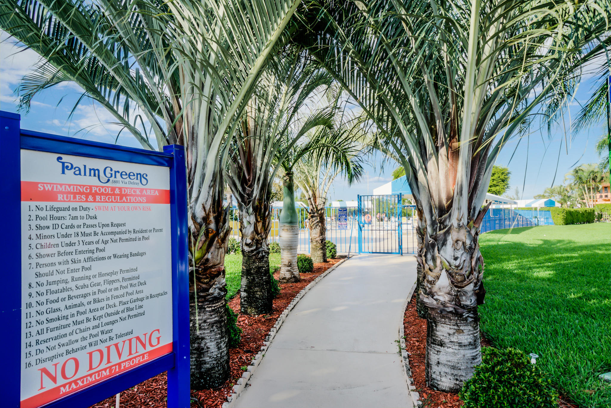 13831 Vía Flora, Unit A Delray Beach, FL 33484 - Photo 43 of 47 a picture of palm trees