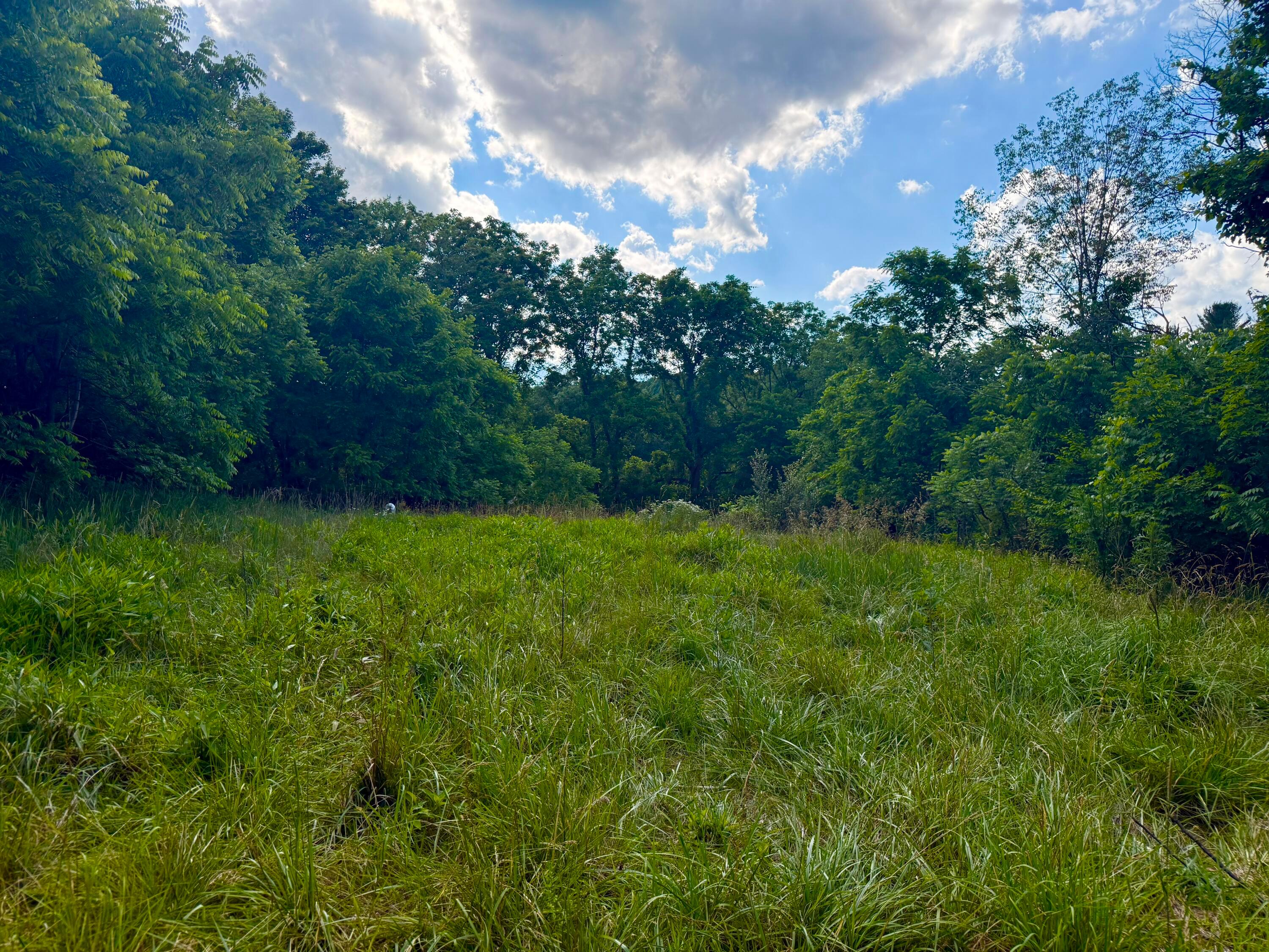 33309 Keller Road Logan, OH 43138 - Photo 9 of 51