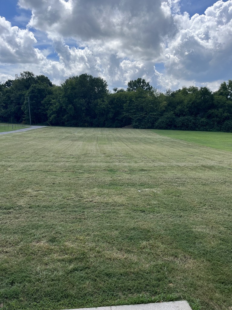700 Old Liberty Road Alexandria, TN 37012 - Photo 3 of 12