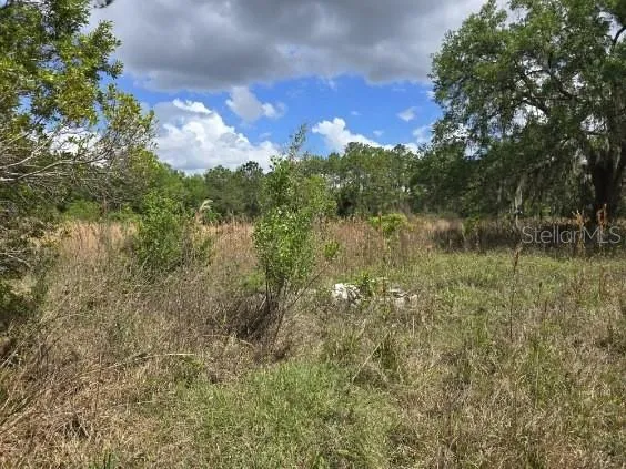 $99,900 | 8878 Southeast 180th Avenue Road, Ocklawaha, FL 32179