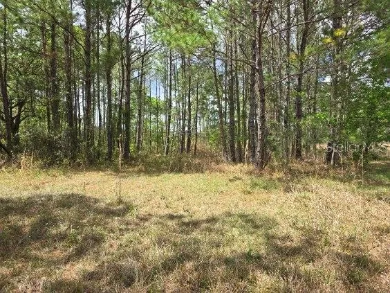 $99,900 | 8878 Southeast 180th Avenue Road, Ocklawaha, FL 32179
