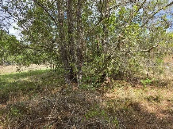 $99,900 | 8878 Southeast 180th Avenue Road, Ocklawaha, FL 32179
